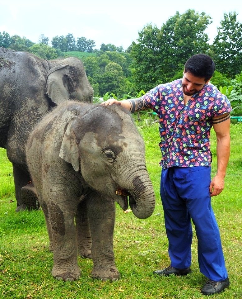 Chiang Mai Elephant Home tweet media