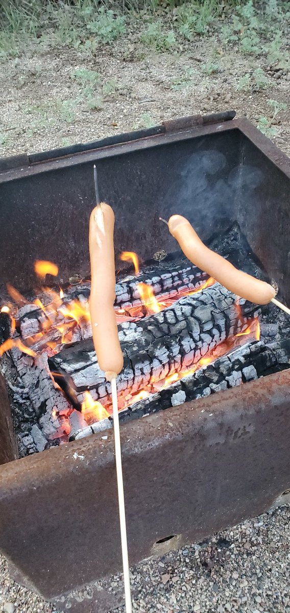 Hot Dog tweet media