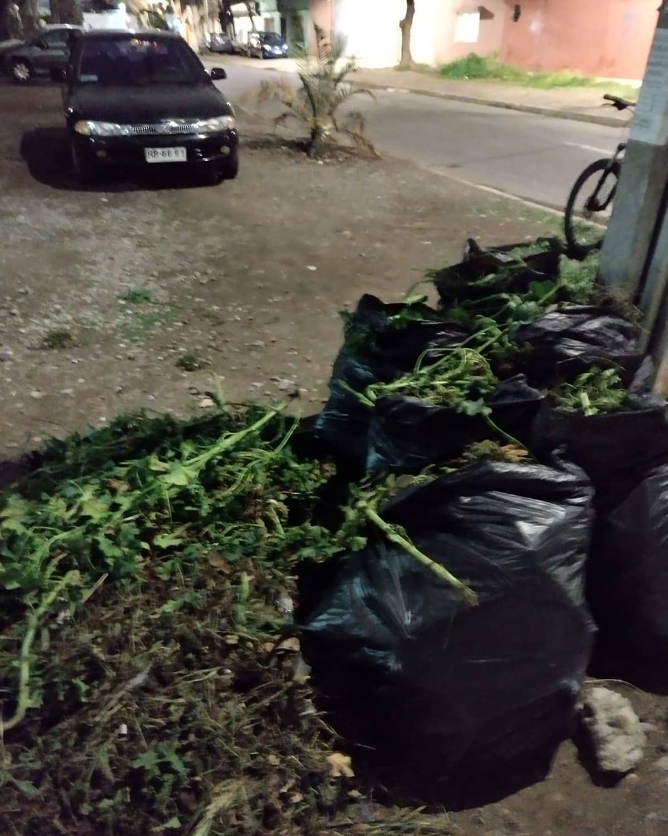 ComunesQN's tweet photo. Hoy como comunal estuvimos en  la esquina de Sergio Valdovinos con el Quilo desmalezando el lugar, esto a petición de una vecina de nuestra querida comuna ❤️
Cada vez que nuestra comunidad nos necesite, ahí estaremos ✌️

¡Construyendo desde los territorios! https://t.co/qpEdO5V21r