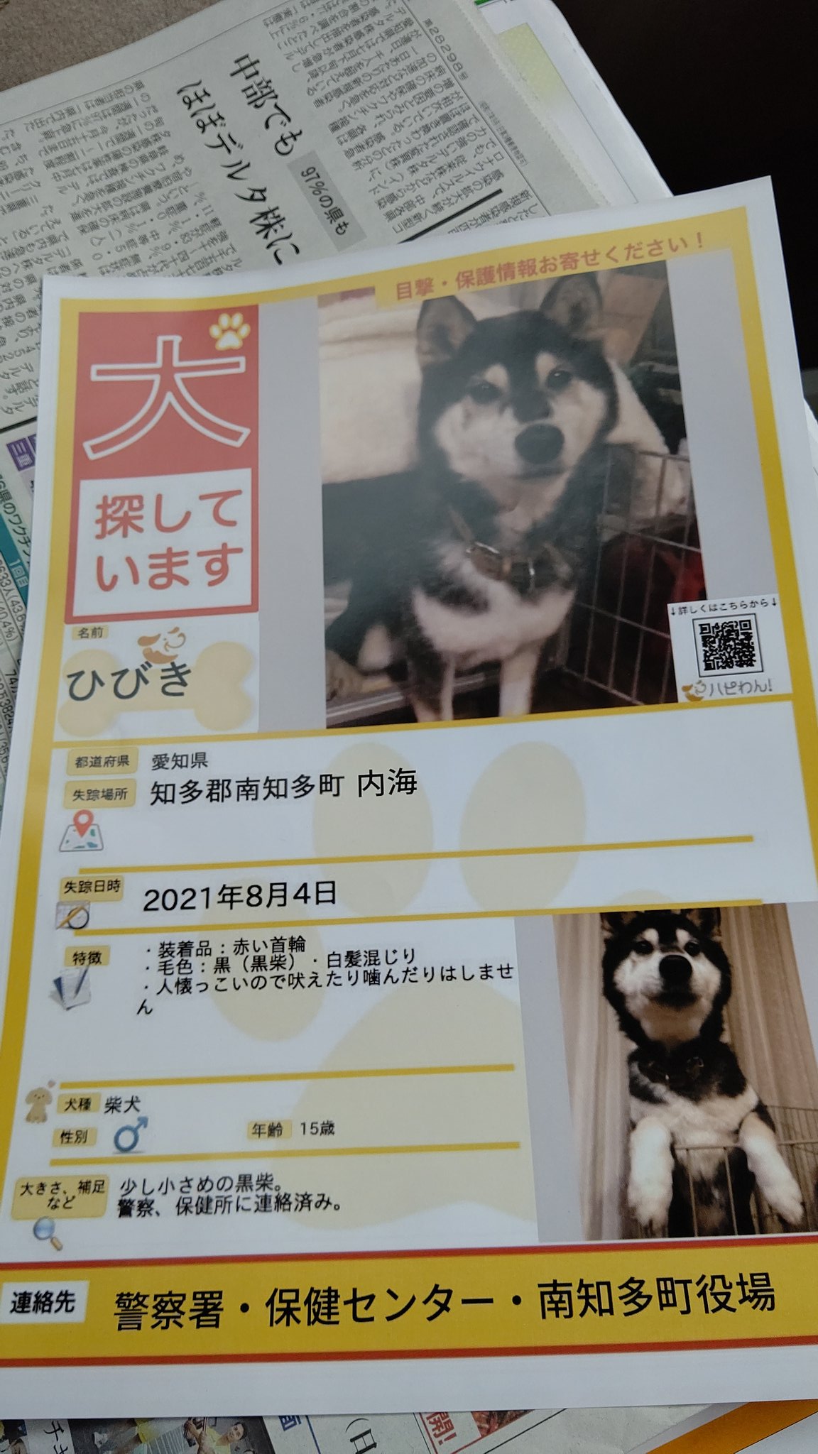 迷子犬りん太郎 Twitter Search Twitter