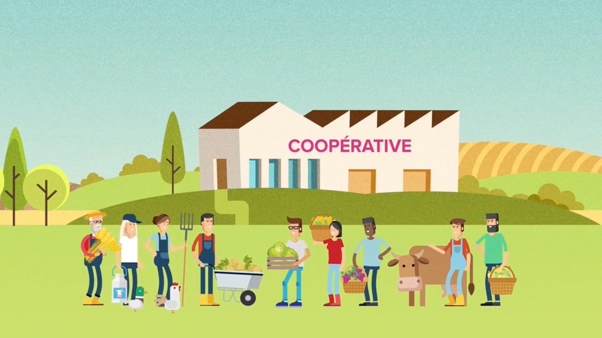 When agricultural cooperatives demand modernization, when governments support that with policies and funds, and when private sector, civil society and donors weigh in, an ambition loop is created that we can harness to bring cooperative development to scale #AgriGRADE #Coops4Dev