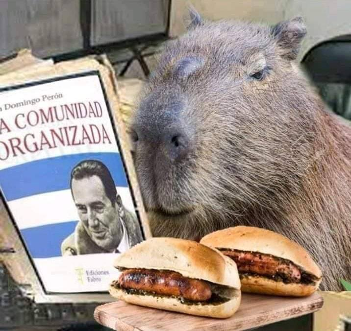 DannyMann33's tweet photo. TIPOS DE CARPINCHO 🤩

1 Jefe de la banda de carpinchos. Dimitri, alias "El Ruso"
2 Carpincho Peronista, alias "El Choripanero"
3 Carpincho Cubano, alias "Fidel"
4 Carpincho Pampeano, alias: "La Pastoruti"

De cualquier origen, tamaño o "alias" estoy a favor de sus derechos!!! https://t.co/lHqczxIItH