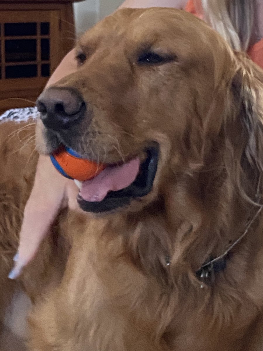 DocTexasgolden1's tweet photo. Happy “ball” day people..... enjoying the weekend....🤠 https://t.co/SnZgQYuX9N