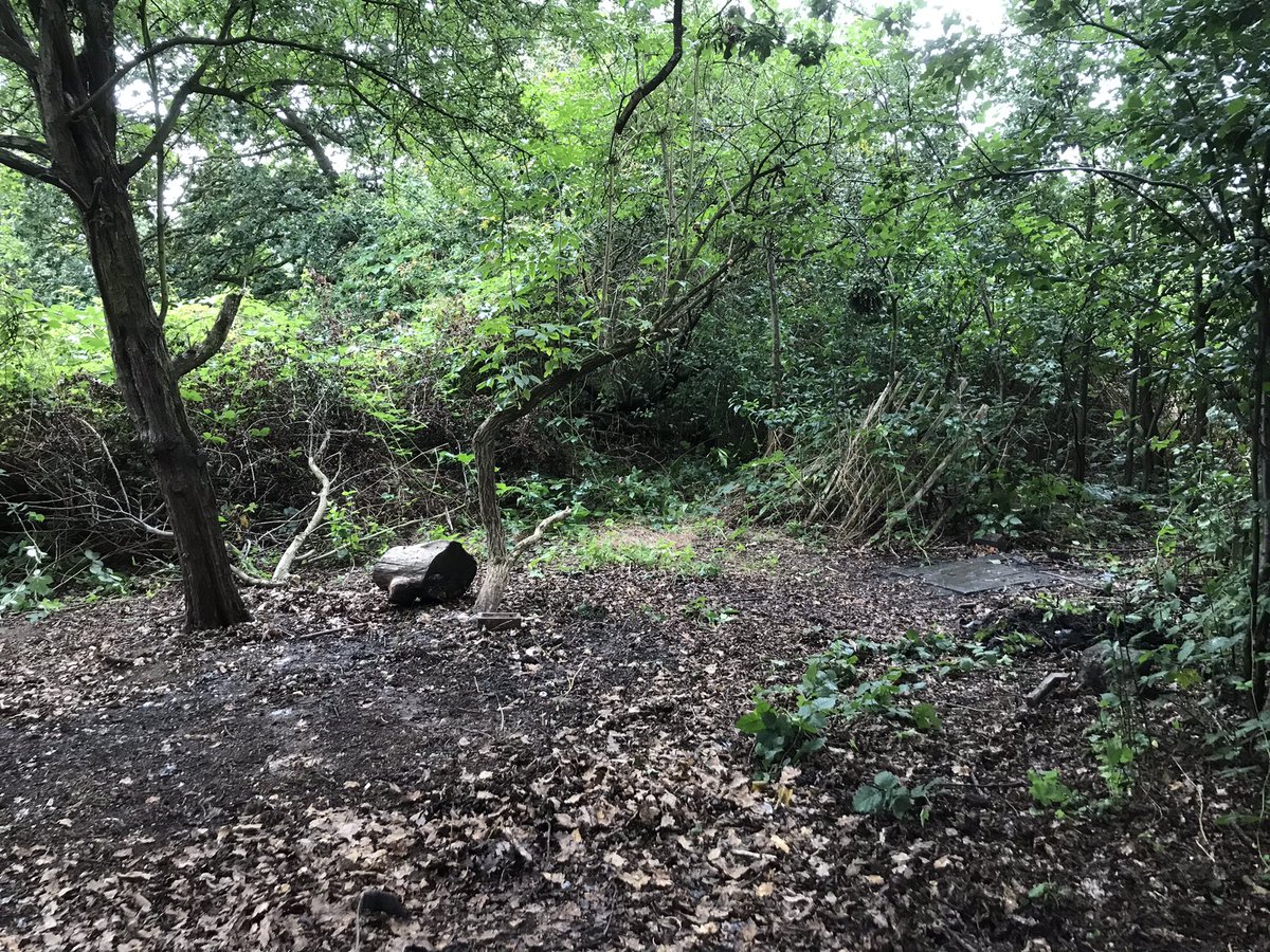 Umme (@cranfordaction) on Twitter photo Who needs bulldozers when you have this army of volunteers to tear down abandoned camps Huckersby Meadow and Dudset Farm, Hillingdon. Massive respect to CAG, HLP, LWT and Green S Welfare for removing 5 tonnes of waste within 4 hours and to <a href="/LBofHounslow/">Hounslow Council</a> for taking it all! Who needs bulldozers when you have this army of volunteers to tear down abandoned camps Huckersby Meadow and Dudset Farm, Hillingdon. Massive respect to CAG, HLP, LWT and Green S Welfare for removing 5 tonnes of waste within 4 hours and to <a href="/LBofHounslow/">Hounslow Council</a> for taking it all!