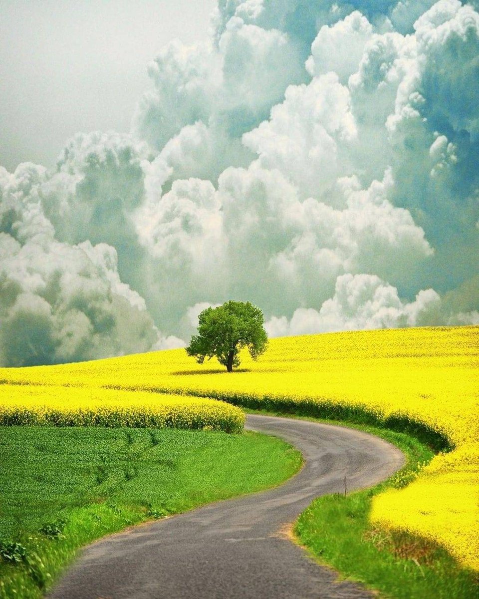mad737's tweet photo. - Mehmet Güney
In the yellow moment https://t.co/47xhO3NzD2
