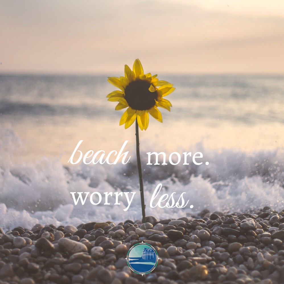 AccessTheBeach's tweet photo. 🌻 https://t.co/5DfWP0MhmG