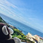徳島県人🐒のツイート画像