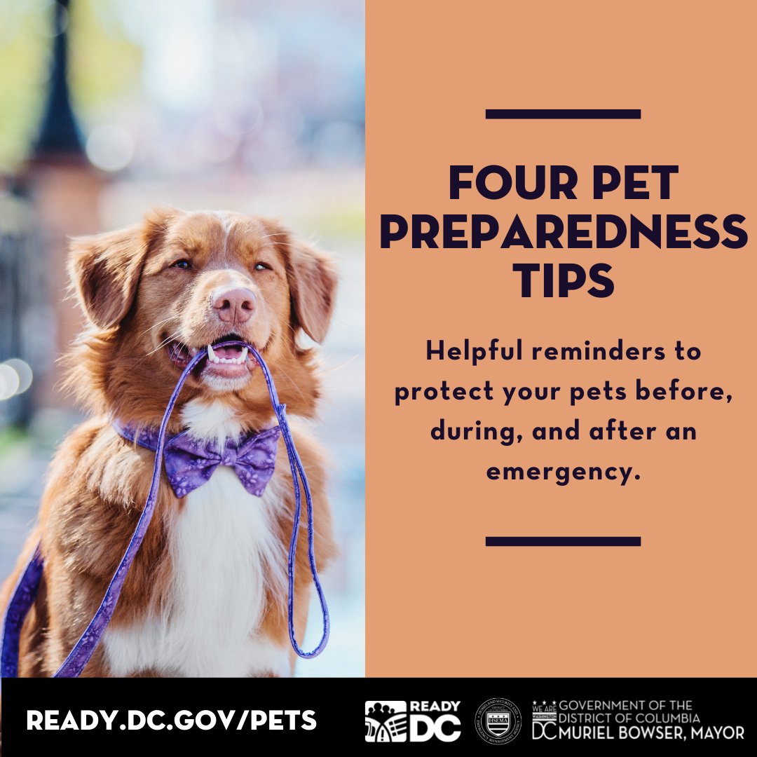 DC_HSEMA's tweet photo. Follow these tips to ensure your pets are protected before, during, and after an emergency. Visit https://t.co/eIZFydXCbc to learn more. https://t.co/ScXl8TL3gM