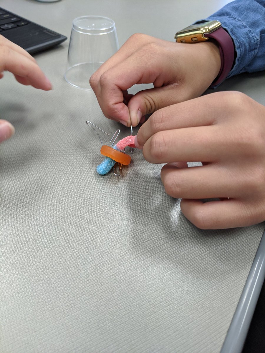 Teaching Design Thinking and the first challenge for my students was a success. They were able to get a life preserver on Sam and help him back into his boat to safety! #BPMSSTEM