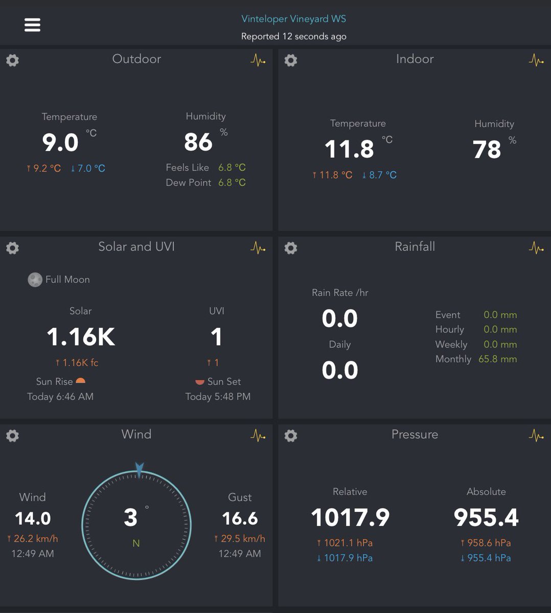 Vinteloper's tweet image. Looks like a nice Sunday morning at Vinteloper HQ. Spring is coming…