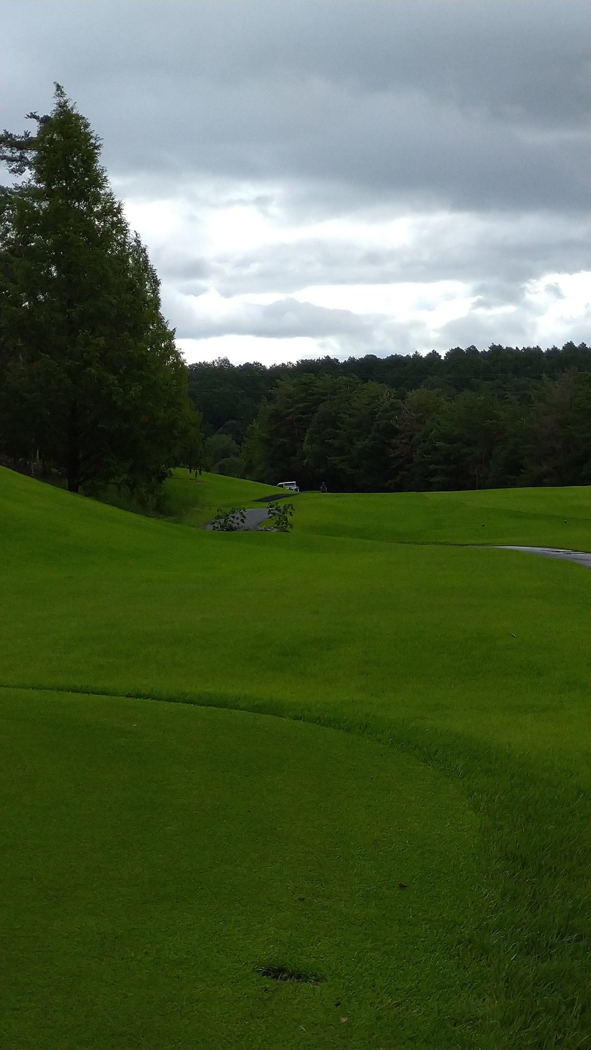 花の木ゴルフクラブ Twitter Search Twitter