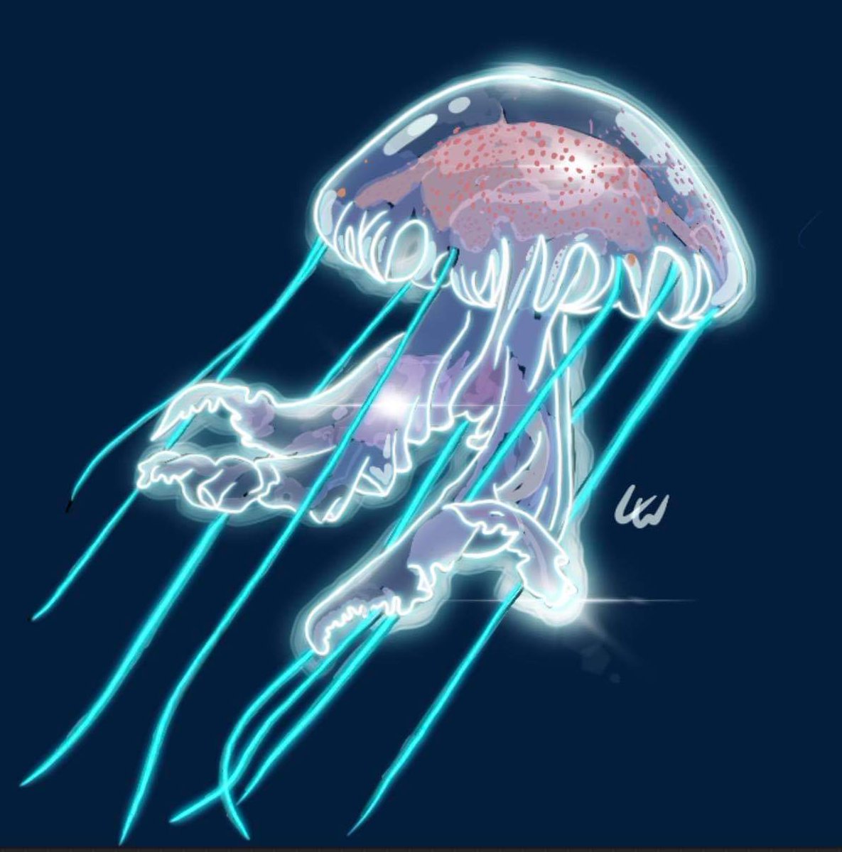 peachsconeart's tweet photo. 💫🐟💫 #art #digitalart #tattoodesign #tattoo #design #f4f #followforfollow #jellyfish https://t.co/krHMfgrOzG