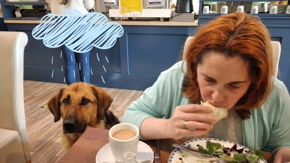 She has been like a wee thunder storm watching us eat.