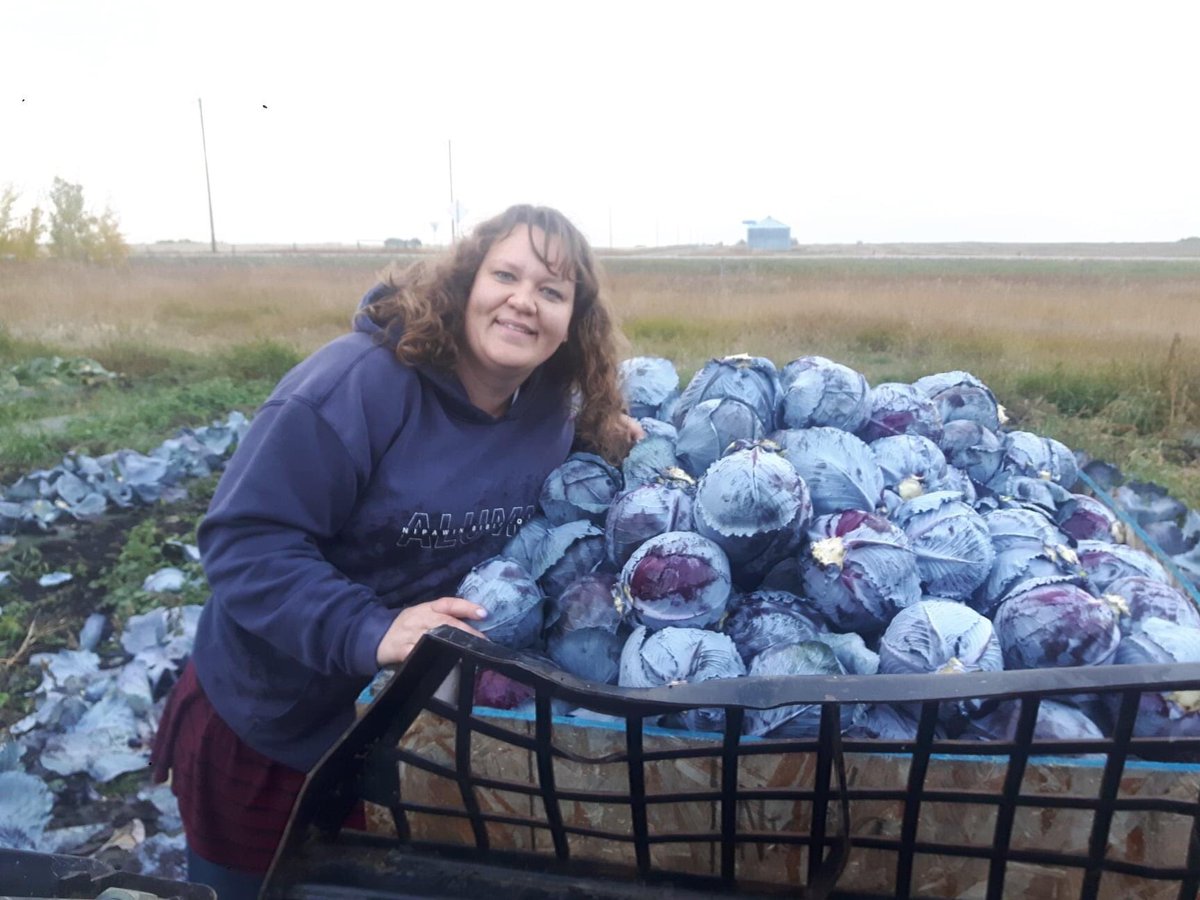 Vendor Feature: Shirley's Greenhouse. What sets them apart from other greenhouses and garden growers is that we grow all our vegetables WITHOUT the use of synthetic pesticides, unless certified organic product is used. They grow many delicious products!