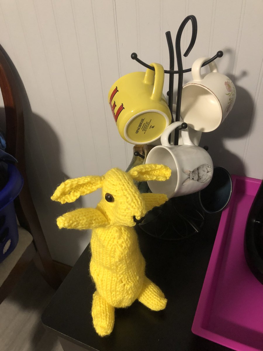 Elizabeth5713's tweet photo. Introducing Buttercup Bunshine Bun! #BeginningKnitter https://t.co/OGJLheDvyJ