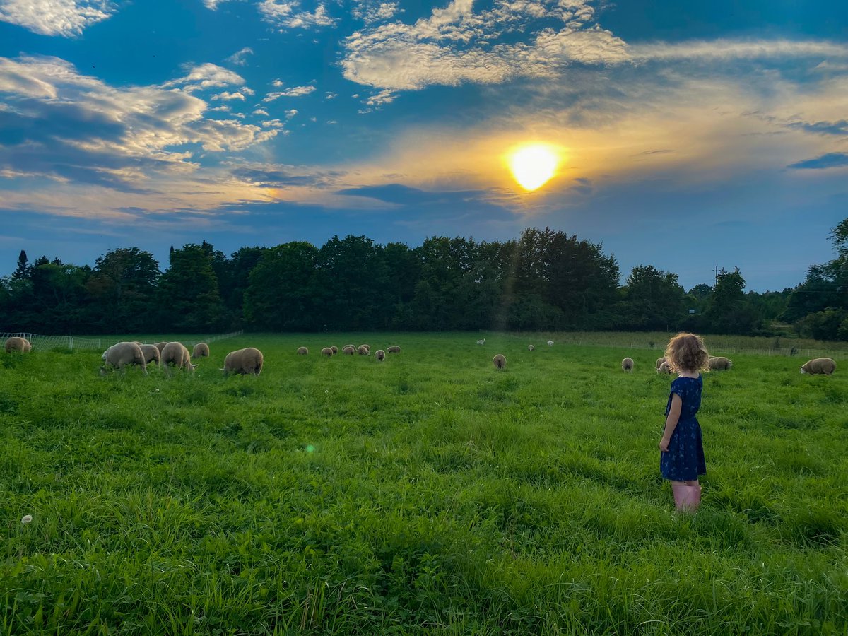 esta_kelly's tweet photo. Home from a quick trip south to say our final goodbyes to my husbands older brother who passed suddenly a week ago. Thankful for moments like this, Allison wanted her barn boots on and wanted to go check the sheep as soon as we got home #farmsweetfarm #ontag https://t.co/72kElJFpMx