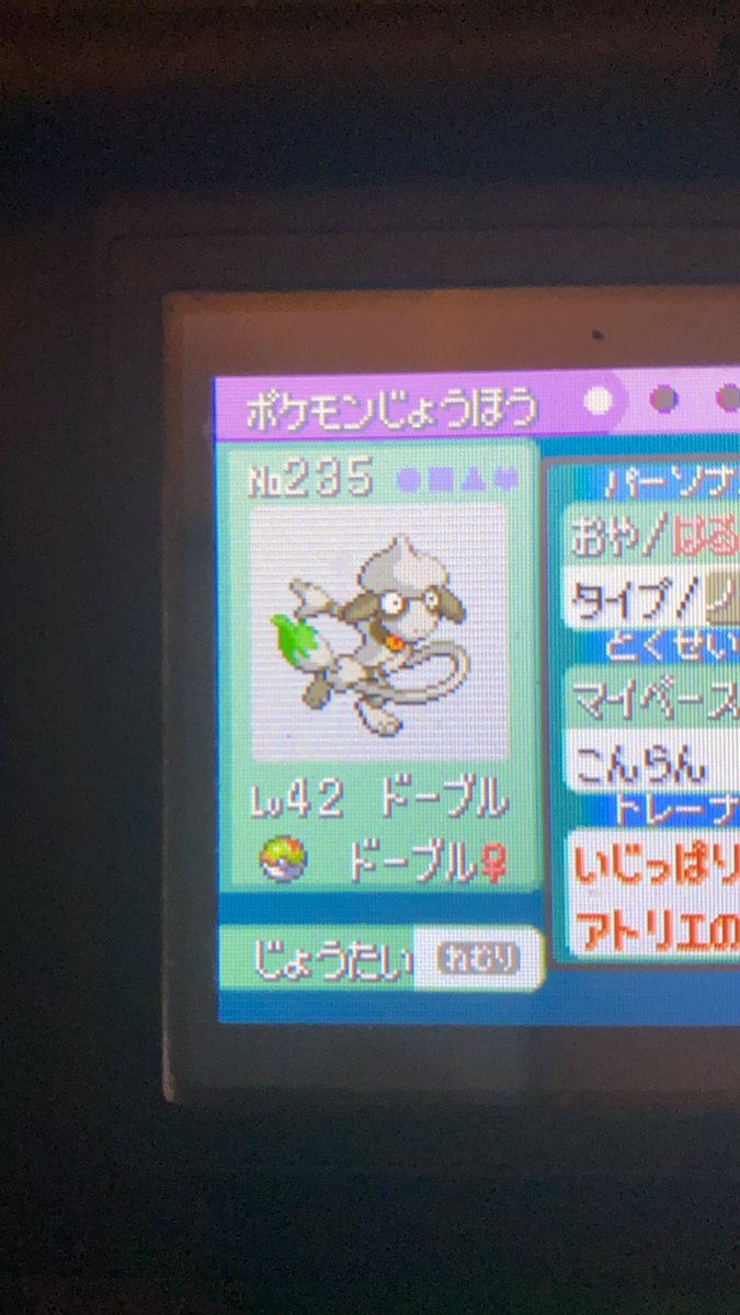 えび ガブ V Twitter サファボ色ミュウ 以下仮説 サファリゾーンで入手できるlv5 40の間のポケモンは全てサファボに入れることが可能 野生のみ捕獲できて固定シンボル系は不可 ミュウは最果ての孤島の仕様上違うのかもしれない 次はデオキシス えび ガブ V Twitter サファボ色ミュウ 以下仮説 サファリゾーンで入手できるlv5 40の間のポケモンは全てサファボに入れることが可能 野生のみ捕獲できて固定シンボル系は不可 ミュウは最果ての孤島の仕様上違うのかもしれない 次はデオキシス
