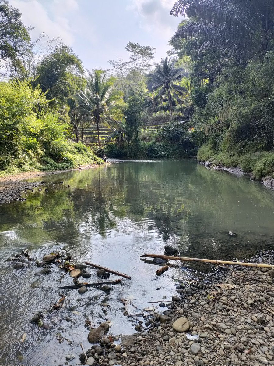 Shandhy Yudha Pratam (@shandhypratam) on Twitter photo 