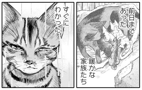 幸せを願う捨て猫の運命は-- 悲しい前世の記憶を持つ子猫と優しい少女の出会いを描いた漫画に涙がこぼれる https://t.co/ulLS7gNc4L @itm_nlabより 