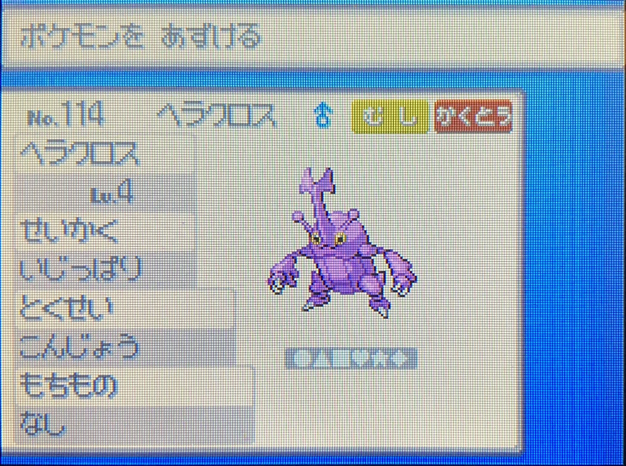ヤマケン 86 Ae クワガタムシ カイロス 俺たちも夏の虫だゾ カブトムシ ヘラクロス だけじゃないよね Twitter
