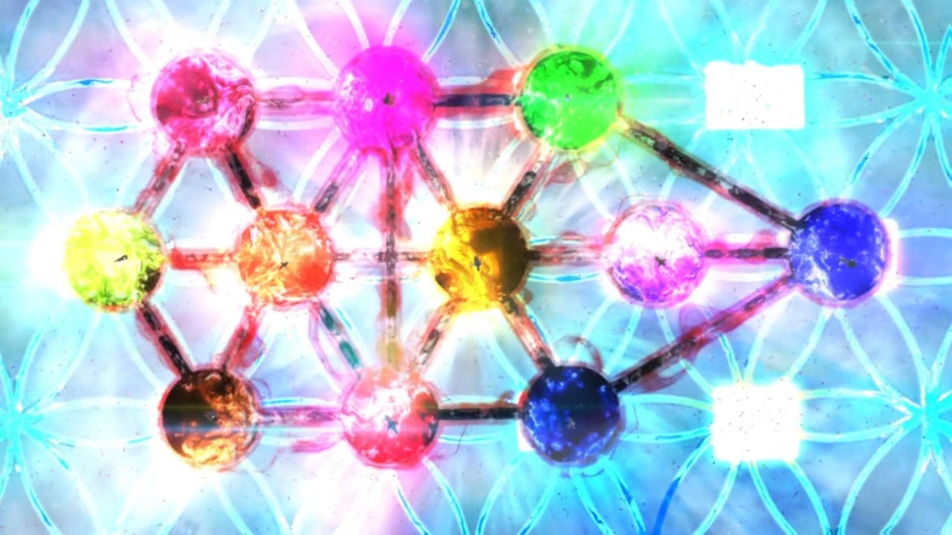 ট ইট র Elt 物語の力 の図形があるように セイバーのもう一つの要素でもある 剣の力 の図形も存在していて こちらは ツリーオブライフ という神聖幾何学模様です 耳馴染のある言葉で言えば セフィロトの樹 ですね 11本の聖剣 の設定はこの