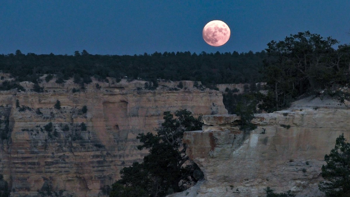 At twilight, a full moon is rising above a forested area on the edge of a sheer cliff. NPS/M. Quinn