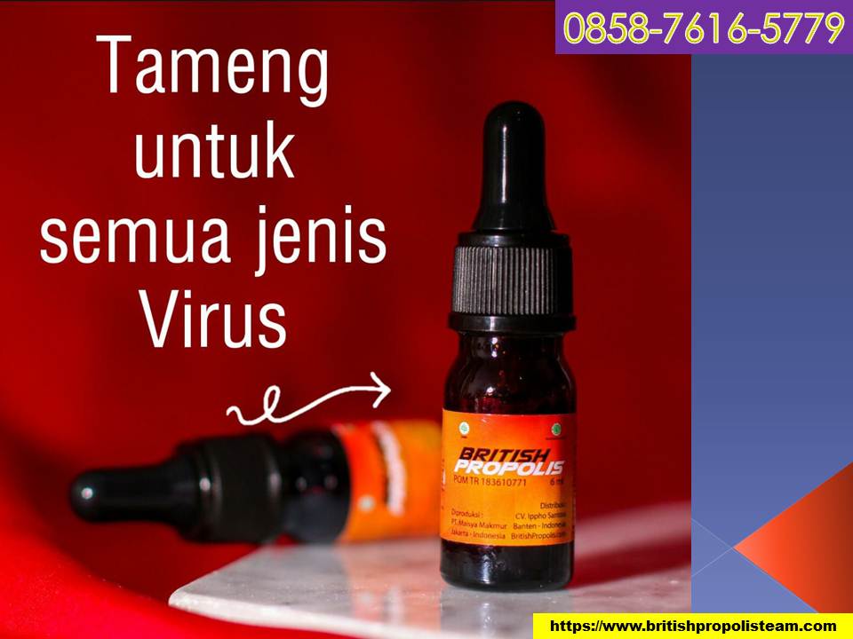 VIRAL 0858-7616-5779 Program Hamil Premium – PROMIL Premium melayani seluruh Wilayah Indonesia

programhamilpremium.blogspot.com/2021/08/viral-…

#TangkapMKece #BagindasBubar #Promil, #PromilPremium, #ProgramHamilPremium, #ProgramKehamilanPremium, #propolispremiumkwalitasinggris, #obatpromil, #Kudus