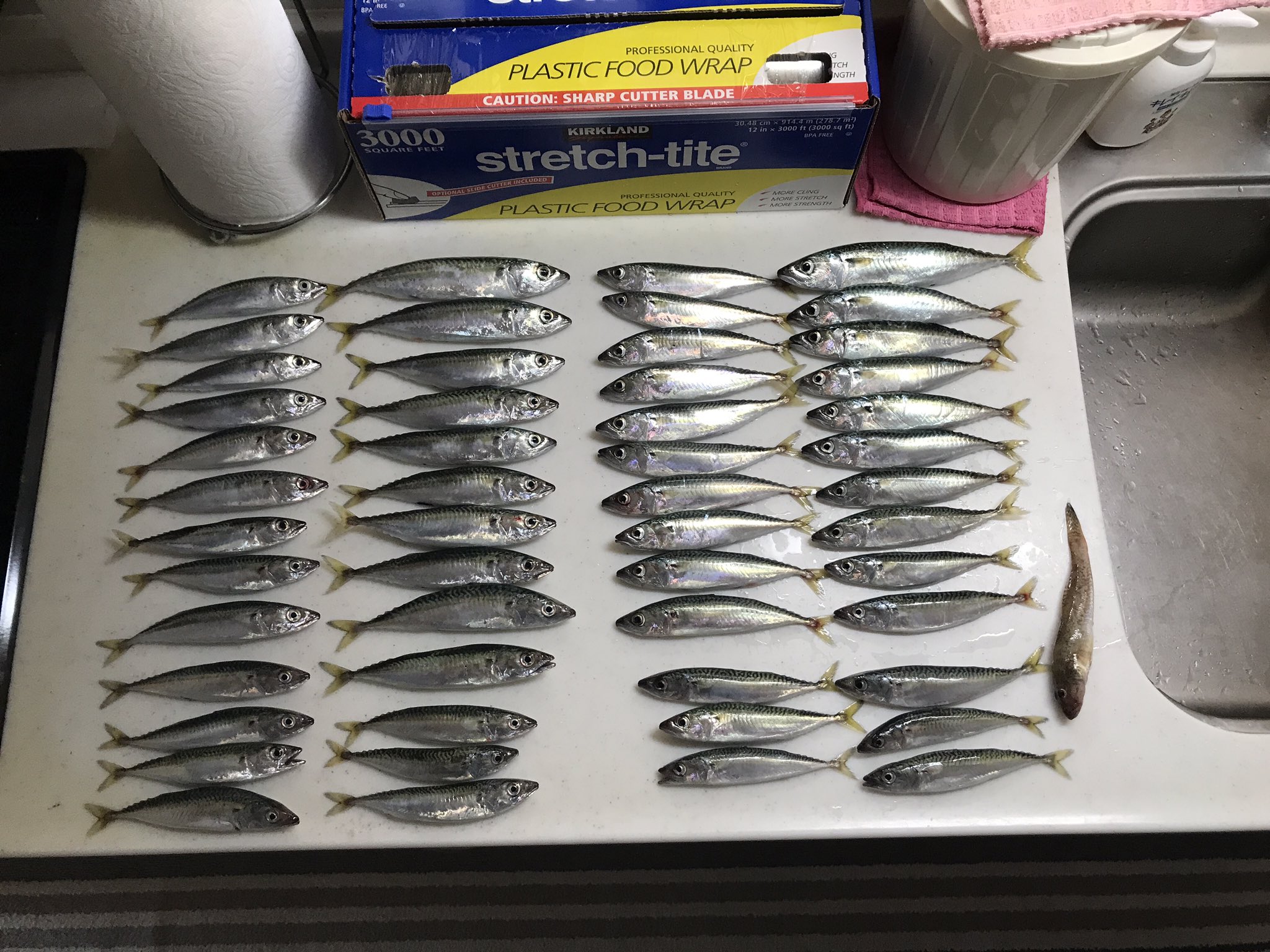 夫婦で釣り Twitter Search Twitter