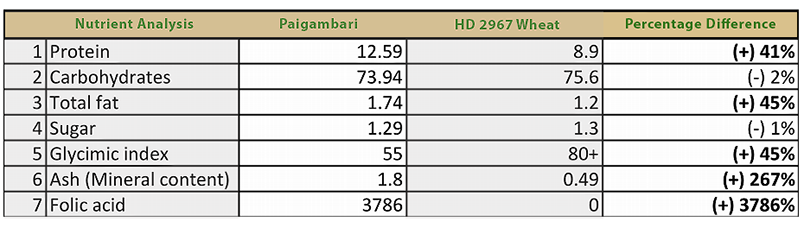 IamGDhillon's tweet photo. PAIGAMBARI : One of the healthiest wheat known for Glycemic Index 55 and Low Gluten. 

Focus is on Wheat: THE GOOD, THE BAD, AND THE UGLY part of our staple diet.

We believe food lies at the core of a healthy, sustainable society. Food is Medicine.
https://t.co/iAeDjw0BMw https://t.co/X93T8MEJJe