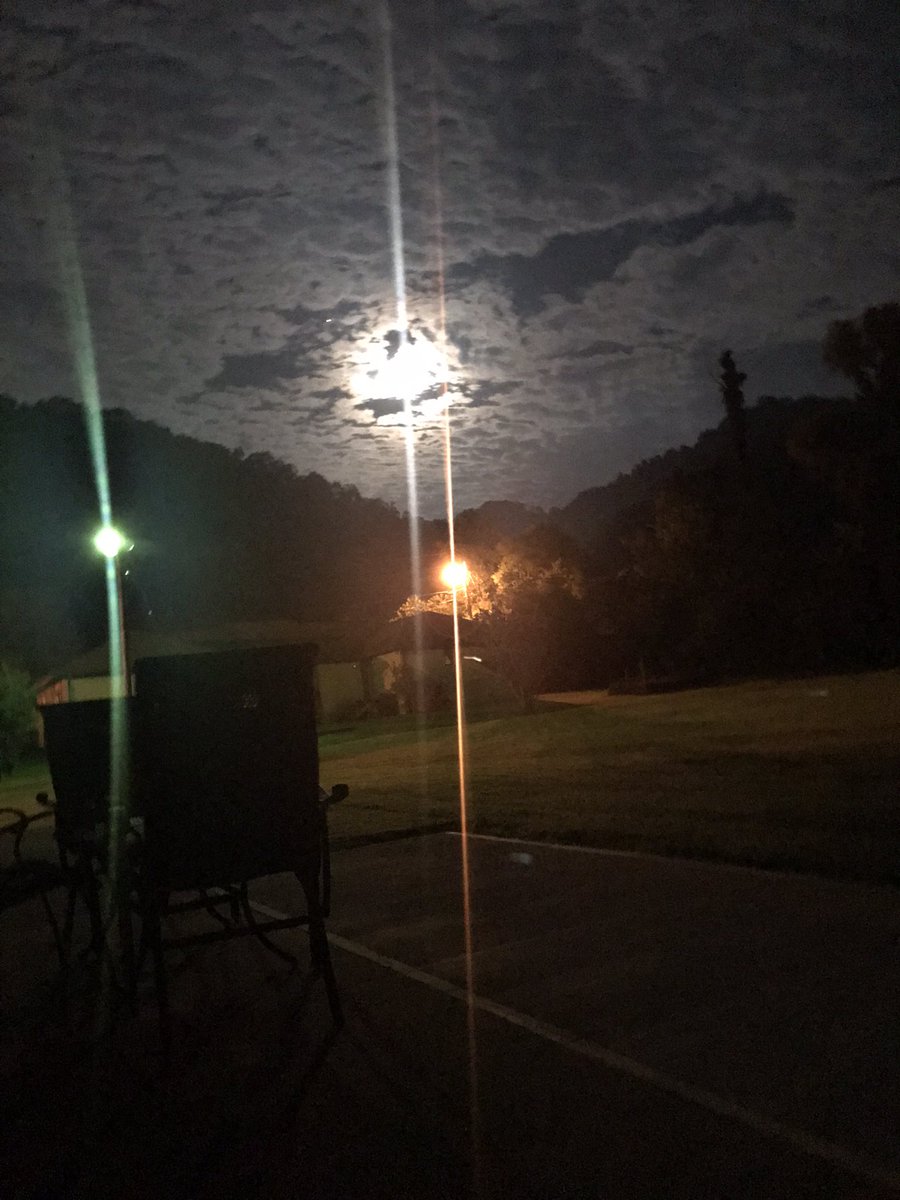 bluegrass_jack's tweet photo. #RIPalva https://t.co/36MXevkPXV