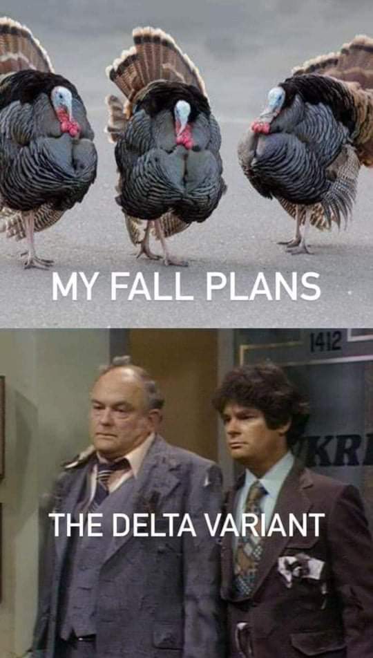 muchredink's tweet image. Ok this is my favorite one of these memes. #myfallplans #DeltaVariant