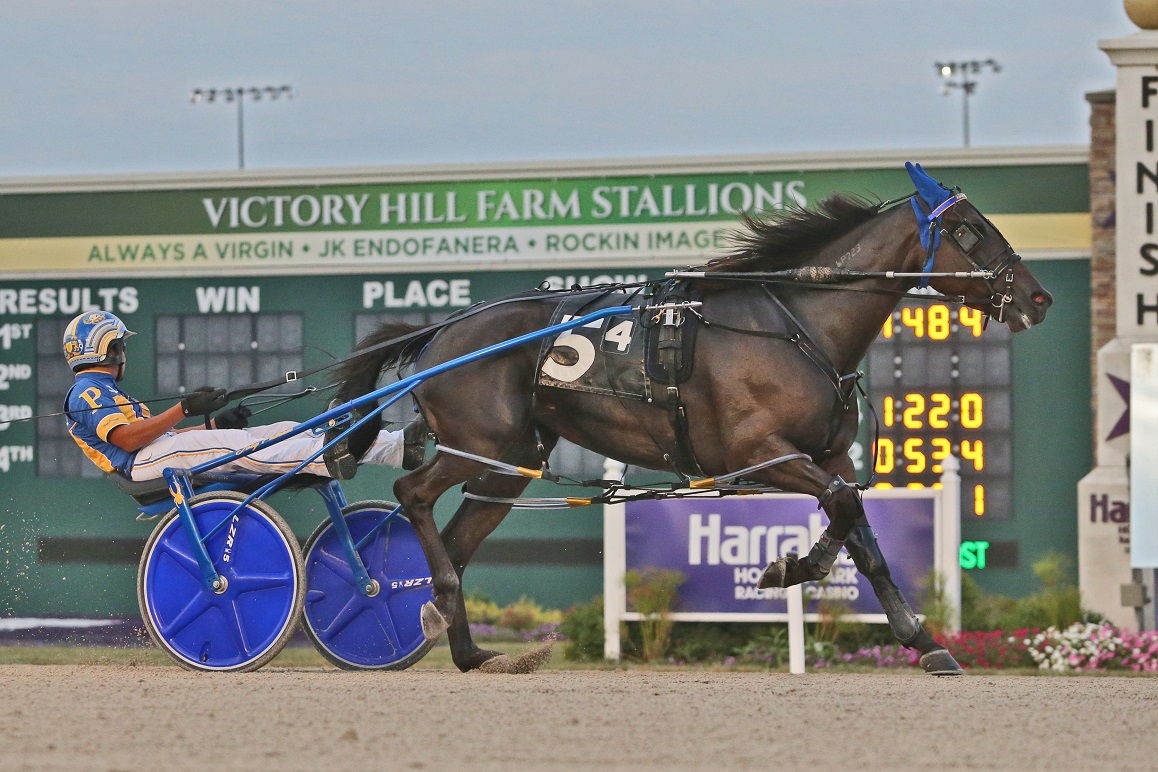 IndianaHarness's tweet photo. Rockin Nola equaled the track record for older pacing mares Saturday, Aug. 21 @HoP_Racing with Joey Putnam in the bike: https://t.co/tE0Ln15b2b Photo by Dean Gillette @harnessindiana @INStandardbred https://t.co/zp60Fgg5gk