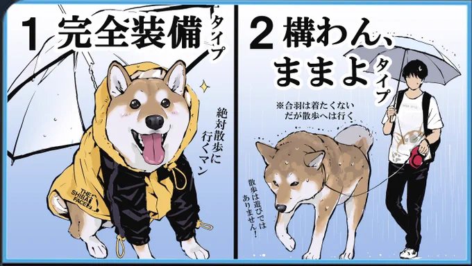 雨の日の犬のお散歩どうしてますか
          ←行く派 行かない派→ 