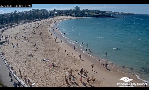 All these people sitting on #BondiBeach and Clovelly beach are "exercising". And there's 1000's of #BinBoyFuller's best men there to issue fines. #GladysMockdown. 830 cases today, only 40 isolating for their infectious period. <a href="/GladysB/">Gladys Berejiklian</a> wants more of this. 1/2