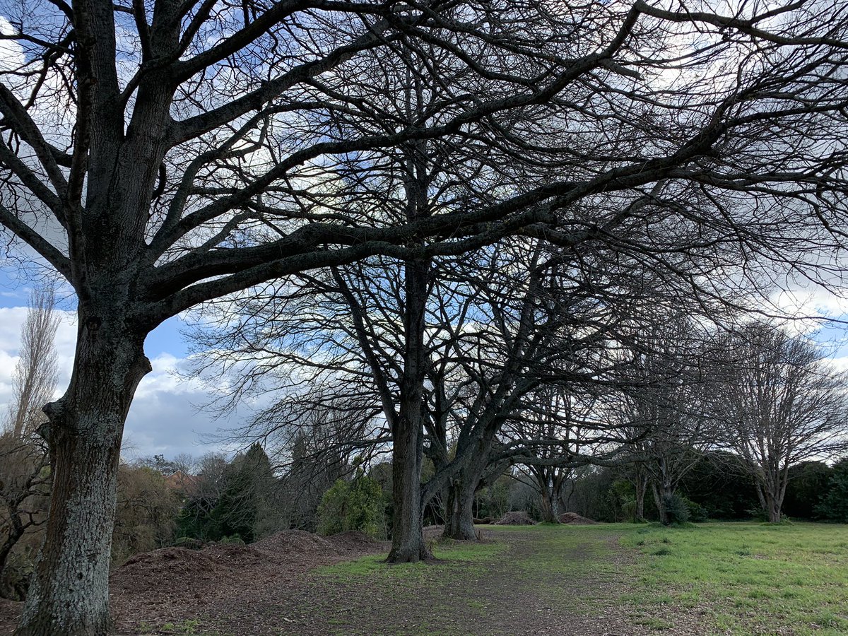 cwtcheecooo's tweet photo. #LockdownWalk beautiful day, lovely to get out and actually feel like walking. https://t.co/R6TlLIE1kd