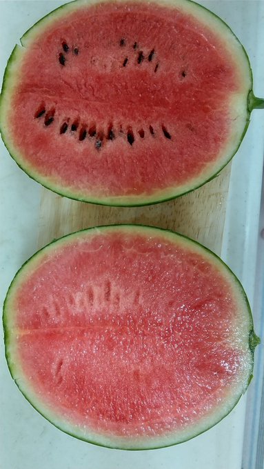 小玉スイカのtwitterイラスト検索結果