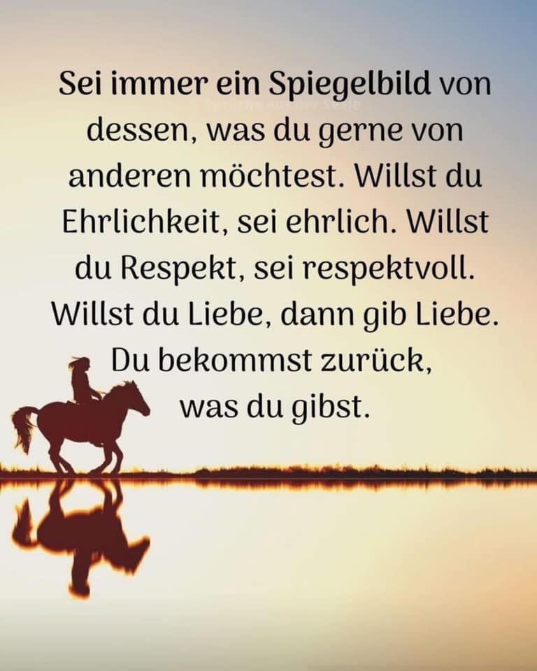 findelchen's tweet photo. 🙏🏻❤️ https://t.co/wQmGaAu19P