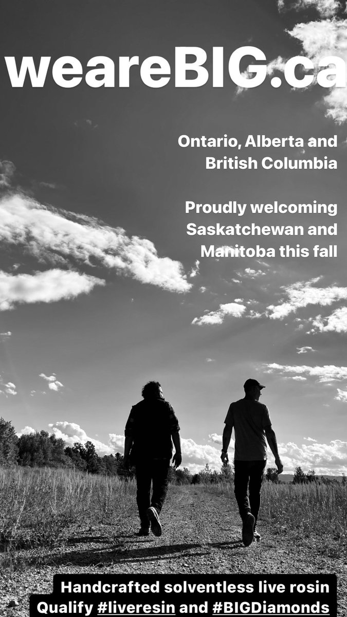 swalters's tweet photo. Find our handcrafted solventless @wearebigca live rosin products in Ontario, Alberta and British Columbia. Proudly welcoming Saskatchewan and Manitoba this fall as we launch our new line of live resin and BIGDiamonds #concentrates #BigKush #BigFruit #ElHasho https://t.co/m7kUpe3Woa