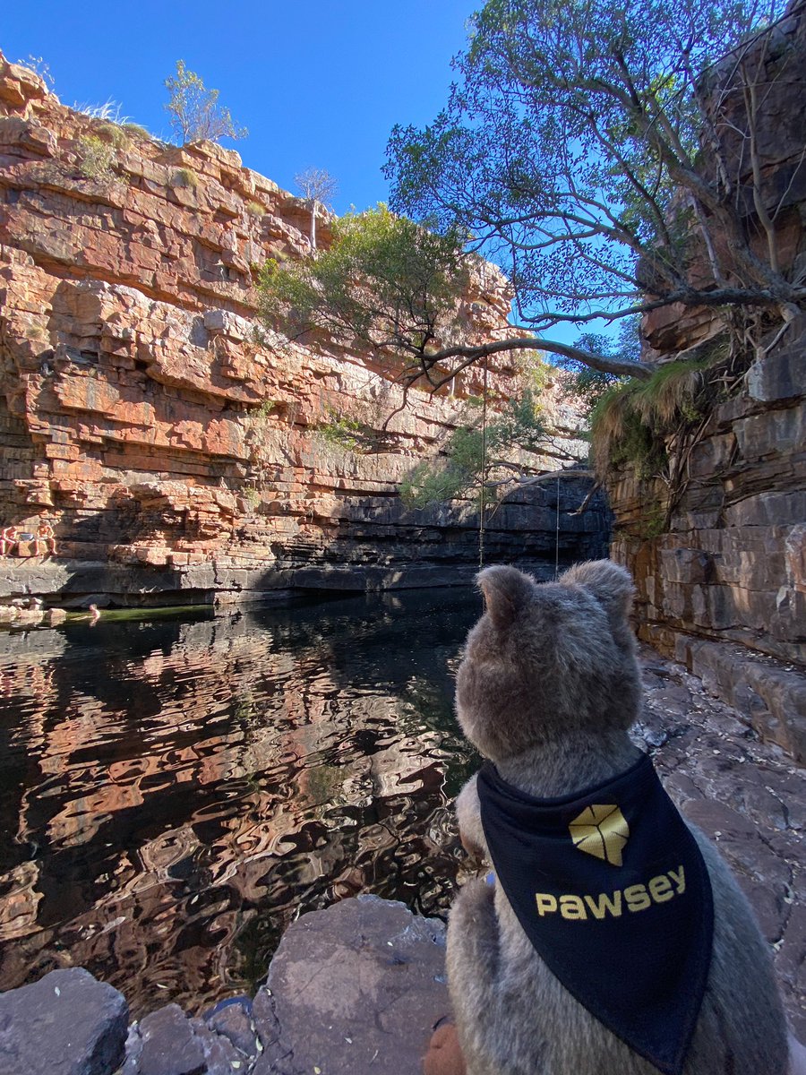 Mark Stickells tweet media