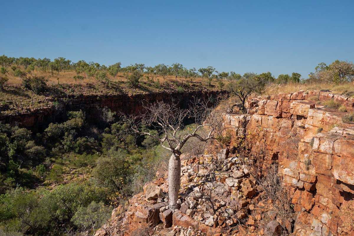 Mark Stickells tweet media