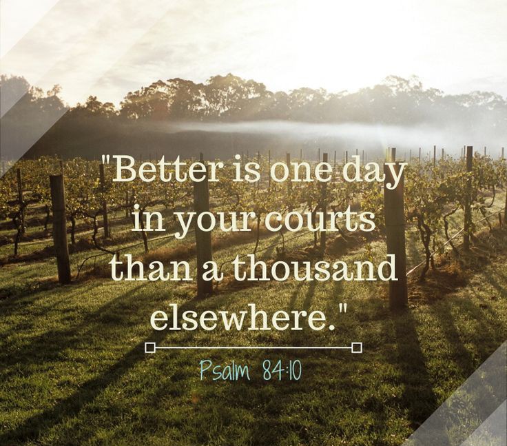 _finalstretch's tweet photo. #BlessedSunday
#SundayMotivation 
#SundayThoughts 

Psalm 84:10

New International Version

10 Better is one day in your courts
    than a thousand elsewhere;
I would rather be a doorkeeper(A) in the house of my God
    than dwell in the tents of the wicked. https://t.co/g1PYNk4uFN