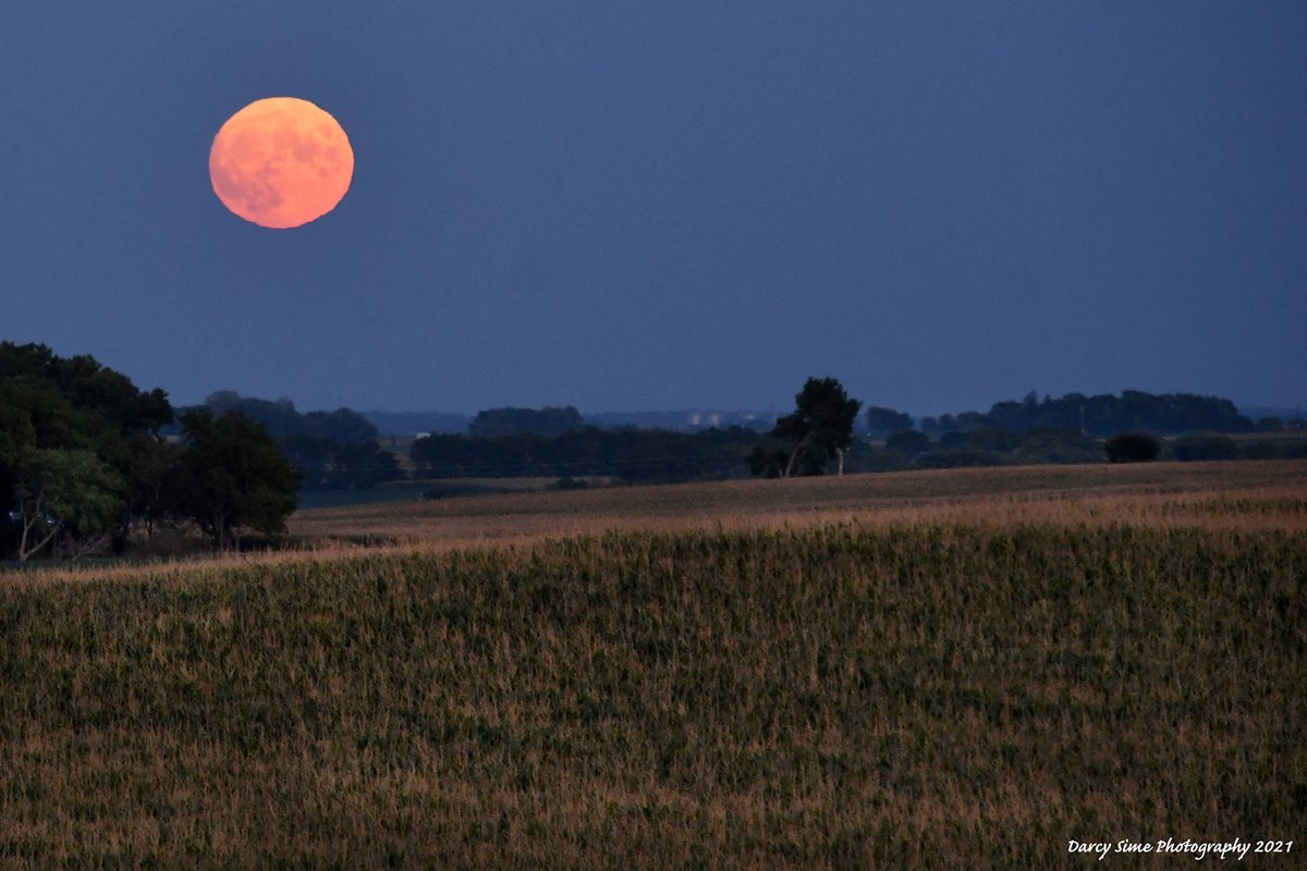 RT @mark_tarello: WOW! Full Moon seen tonight from Kiester, Minnesota. Photo courtesy of Darcy Sime. #Moon #Space https://t.co/jXto1UBDhb