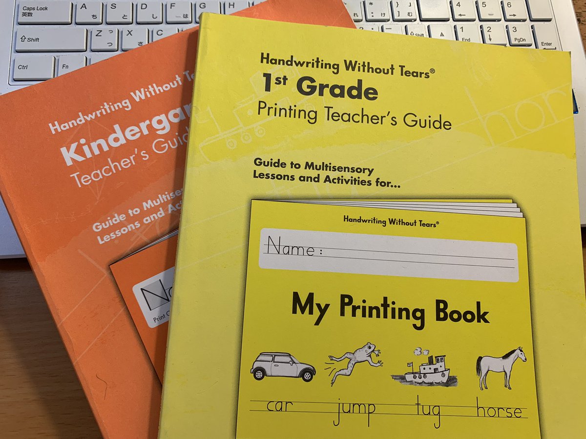 ダミーコ英語 ネイティブ小学生が学ぶフォニックス A على تويتر 似ている文字をグループ化して教えているプログラムはこちら Handwriting Without Tears 出来るだけ涙を流さずに身につけたいですよね 小文字の書き方 ダミーコ英語では様々なプログラムのいい