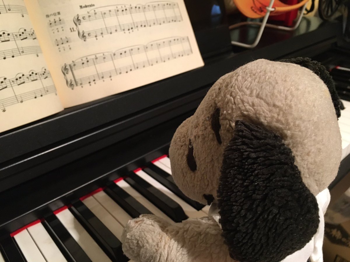ヌー君の独り言 午後はピアノの練習だよ たしか たま先生が 11潘 って言っていたから ここまでかな よいしょ 弾いてみよう スヌーピー ぬい撮り ピアノの練習