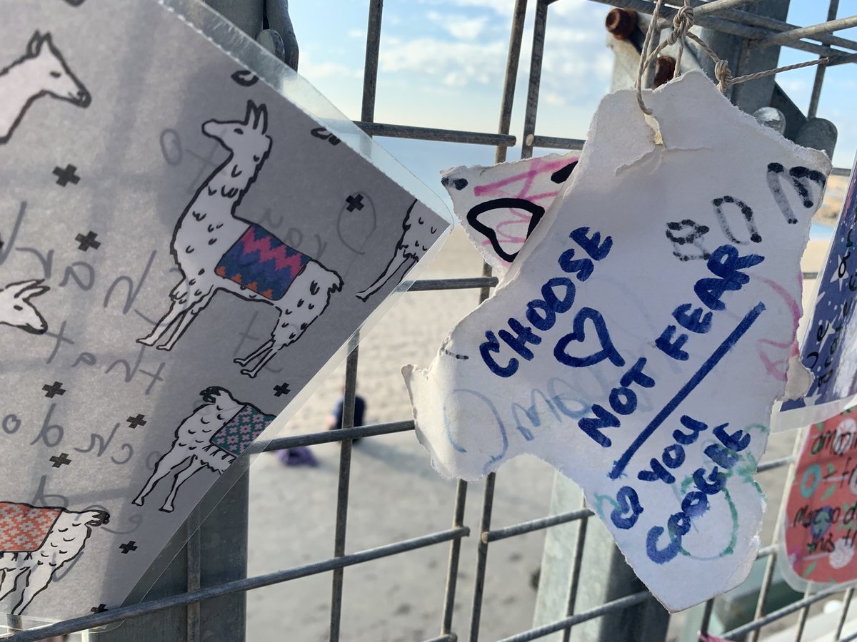 LizDeepJones's tweet photo. More stunning #roses left by locals spreading kindness at my #beach #workout #lockdownlift Grateful 4the gesture,compassion&our life in Australia where most of us enjoy freedom&safety unlike #refugees enduring indefinite detention. ✊🏽 #humanrights #ReleaseRefugees #StaySafe ❤️🌹 https://t.co/eKjsEBApFL