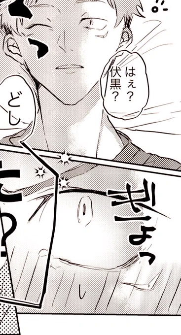 宿さまも起きてちょっとびっくりしてます。 