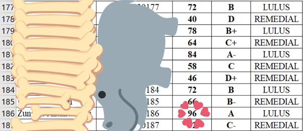 DigimonLaut's tweet image. ✨✨TIPS BELAJAR ANATOMI✨✨

-dari aku yang masuk FK tapi lemah menghafal