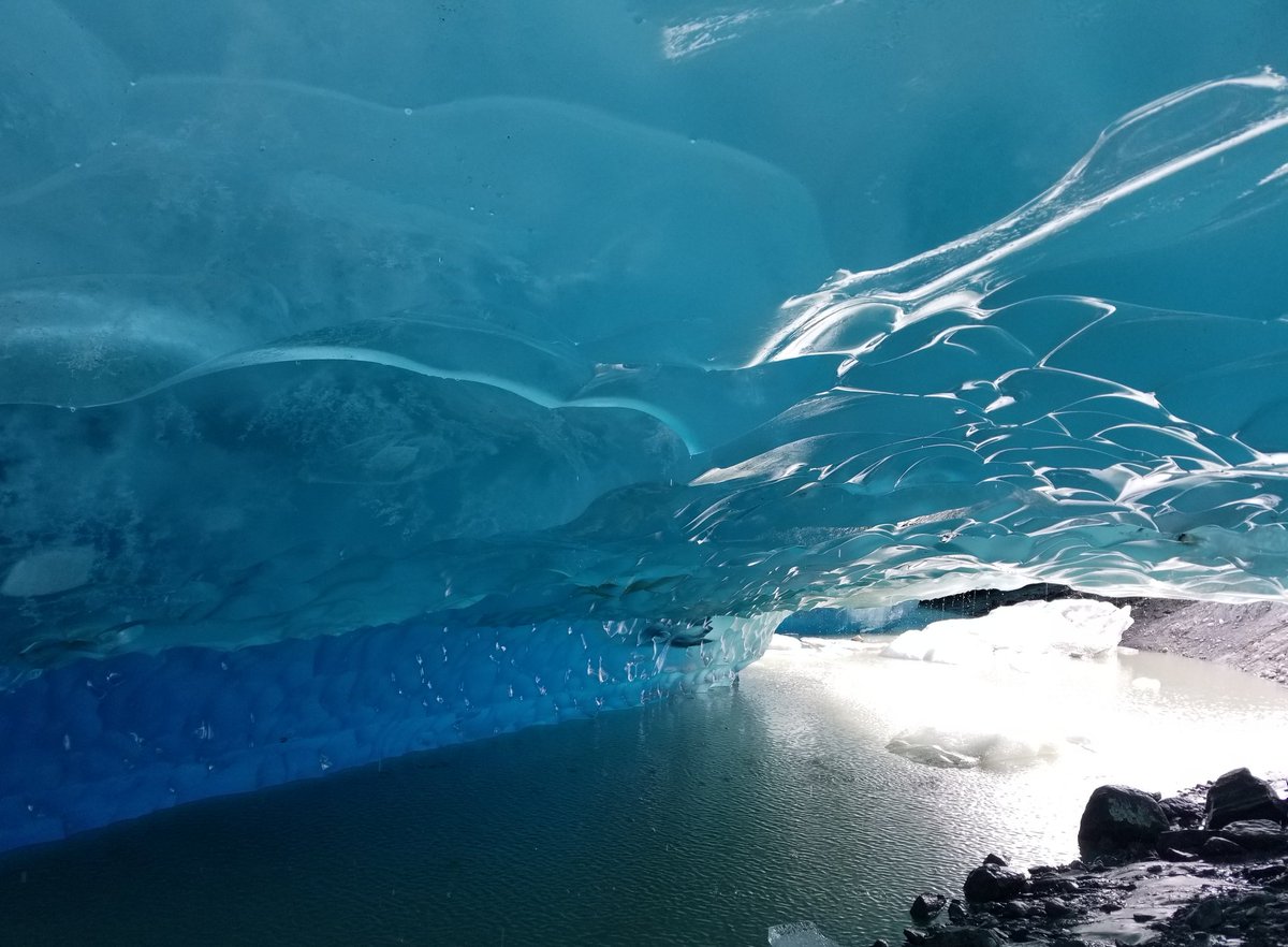 Terry Yates tweet media