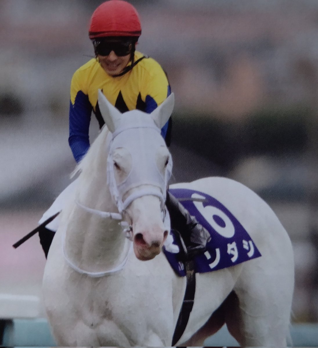 競走馬ソダシの母 ブチコ 厩務員さんとのイチャラブ加減が超可愛いので見て 厩務員さんもブチコと模様を合わせてて愛が深すぎた Togetter