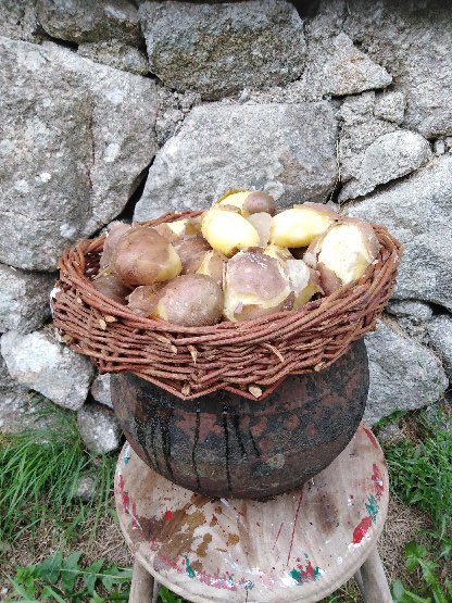 Toradh maith ar a chuid oibre i Loch Con Aortha... agus blasta.  Nice crop of potatoes... and tasty.